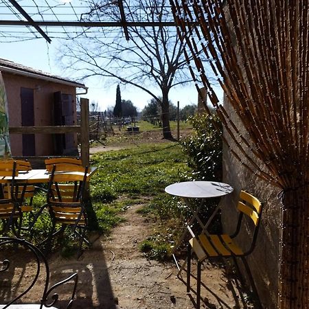 Studio Independant Dans Ferme Equestre Опс Екстер'єр фото